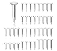 Glarks 300 PCS 1 pouce acier toit feutre clou galvanisé toit feutre clou à tête plate pour fixer toit de remise, toit en feutre ardoise, tuiles de hangar en bois