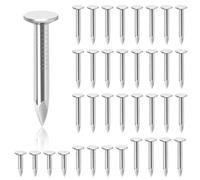 Glarks 300pcs 1-1/4 pouces acier toit feutre clous galvanisé toit feutre clous à tête plate clous en feutre coulé pour fixer le toit de remise, toit feutre ardoise