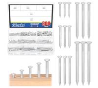 Glarks 300pcs 20/30 / 40/50 / 60mm brique acier clous Kit, Zinc Blanc acier au carbone Hardware clous, clous de finition, Brad et picture suspension clous, clous en bois, ciments clous
