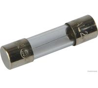 Glas-Sicherung 6,3A 20X5 50 295 054 - Au