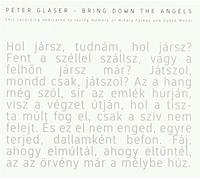 Glaser, Peter - Bring Down the Angels