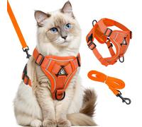 GlasFlength Harnais pour Chat avec Laisse Anti-éclatement, Laisse pour Chat avec Harn ais réglable - Harnais Souple pour cha t avec Bandes réfléchissantes (Orange-M)