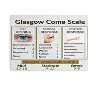 Glasgow Coma Scale GCS Guide Poster Canvas Print Wall Art for Living Room Office Bedroom Aesthetic Decor(Framed,16x24inch(40x60cm))