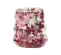 Glass Coffee Cups, 3.54x3.54x2.56 Inches, Double Insulated Mug with Dried Flower Design for Hot Cold Drinks, Reusable Drinkware with 160ml Capacity, Kitchen Accessory for Water Tea Home Decor