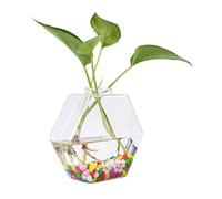 Glass Vase Hanging Hydroponic Aquarium Container Home Decor for Office and House (Hex)