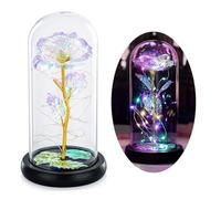 Glasseam Beauté Et La Bête Rose en Verre Dôme, Cristal Rose Fleurs | Arc-en-ciel Fleur, LED Lumières Colorée, 1 Pc Cadeau pour Anniversaire, Saint-Valentin, Mariage, Petite Amie, Femme