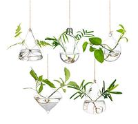 Glasseam Jardinières Suspendues en Verre Récipients pour Plantes Aquatiques Terrarium Intérieur Extérieur 2 Trous 5 Pièces/Ensemble avec des Cordes Corde pour Le Jardin De La Maison Balcon