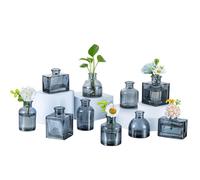 Glasseam Petit Vase en Verre pour Mariage: 10 Pièces Mini Vase Gris Lovely Vase à Fleurs Moderne pour la Maison la Cuisine Le Bureau l'étagère la Table la Décoration