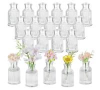 Glasseam Petit Vase en Verre pour Mariage : Mini Vase à Fleurs Lot de 20 pour Centre De Table Décoration De Salon - Vases Décoratifs Transparents pour Plantes Fleuries Amaryllis Rose