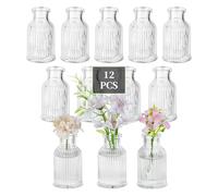 Glasseam Petit Vase pour Centres de Tables: Ensemble de 12 Mini Vase Transparent Jolis Lot de Vases en Verre pour Mariage Décoration de Table à Manger à la Maison Deco