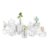 Glasseam Petits Vases à Fleurs pour Centre: Lot de 10 Mini Vases en Verre Jolis Vases Transparents pour la Décoration de Table de Mariage Tables de Salle à Manger et Autres Occasions Spéciales
