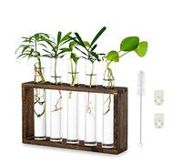 Glasseam Station De Propagation De Jardinière en Verre Suspendue De Table Moderne 5 Tube à Essai Vase De Bourgeon De Fleur en Support en Bois pour Plantes Hydroponiques Boutures Bureau Décoration