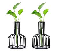 Glasseam Station De Propagation en Verre avec Cadre en Métal, Lot De 2 Vases à Fleurs Noires, Tube à Essai pour Plante Hydroponique, Petit Vase à Bourgeon, Noir