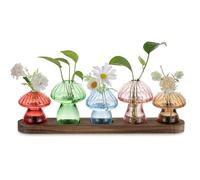 Glasseam Station de Propagation en Verre pour Intérieur: 5 Coloré Champignon Deco Vase Fleur avec Plateau en Bois pour Maison Table - Terrarium Plante Vases Hydroponie pour Maman Amoureux des Plantes