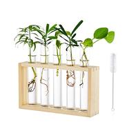 Glasseam Tenture Murale en Verre Planteur, Suspendue Propagation Station | Lot de 5, Tube Vase à Essai en Support en Bois, Terrarium pour Plantes, Hydroponiques, Boutures, Bureau Décoration, Maison