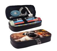 GlbnSHeric Trousse à crayons rétractable avec fermeture éclair - Motif fleurs jaunes et oiseaux - 9 x 20 cm, Chien carlin feuillage d'automne, Taille unique, Organiseur de sac