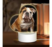 GlbnSHeric Veilleuse personnalisée en acrylique pour grand-mère, bouledogue anglais, lampe de table USB, 3 couleurs changeantes, veilleuse en acrylique pour grand-mère Noël