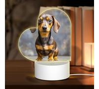 GlbnSHeric Veilleuse personnalisée en acrylique pour grand-mère, teckel, lampe de table USB, 3 couleurs changeantes, veilleuse en acrylique pour grand-mère, Noël