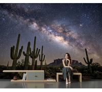 GLCWARM Papier Peint Panoramique Nuit Étoilée De Cactus Mur 350X256Cm | Photographie Astronomique Papier Peint Intissé Pour Chambre Salon Bureau Personnalisé Décoration Murale