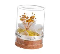 GLEAVI 1 pièce Fleur Éternelle Verre avec Cloche Rose Vivid pour Créatif de Noël et Saint Valentin Décoration et Originale pour Vos
