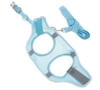 GLEAVI Harnais Réfléchissant pour Chien Taille S, Gilet Respirant en Maille, Ensemble 2 Pièces Bleu Gris, Harnais de Promenade pour Animaux de Compagnie, Laisse Adaptée pour Sorties