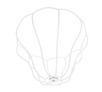 GLEAVI Iron Art Lamp Shade Frame Palace Style Metal Wire Lampshade Cage Sturdy Iron Construction Easy Assembly Light Fixture Cover For Home Desk Ceiling Lamps Light Accessory