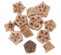 GLEAVI Lot de 12 Jouets à Mâcher pour Perroquets et Perruches Fruits Secs Naturels Petits Accessoires de Recherche de Nourriture Jouets Déchiqueteurs pour Oiseaux Compagnon de Jeu