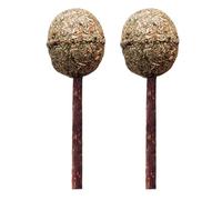 GLEAVI Lot de 2 Sucettes à L' à Chat en Bois Polygonum Marron Molaire pour Chatons et Chats Adultes pour Nettoyage des Dents et Stimulation Ludique à Domicile