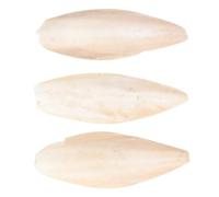 GLEAVI Lot de 3 Jouets à Mâcher en Os de Seiche Naturel 18-20 Cm pour Perroquet, Calcium pour Renforcement des Molaires, Suspendus pour Cage ou Volière, Accessoire pour Oiseaux et Petits