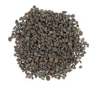 GLEAVI Mini Galets Décoratifs Naturels pour Microlandscape Pierres de Rivière Lisses Emballage pour Jardin Miniature Aquarium et Décorations Artisanales