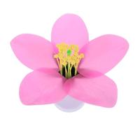 GLEAVI Modèle Pédagogique Réaliste pour Biologie Outil Visuel Détaillé pour Collège et Lycée Structure Complète pour Enseignement Scientifique