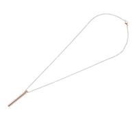 GLEAVI Pendentif en Cendres Cylindrique en Alliage de Titane Collier de Parfum Espace de Rangement Accessoire de Crémation Rose Doré pour Souvenir Personnel Bijou Commémoratif Élégant