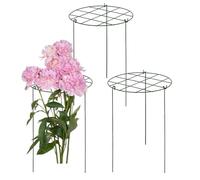 GLELLIS Lot de 3 Cadres de Support pour vitrées d'extérieur - Kit Iron GRELLIS pour vignes et Fleurs | Cadre de Support pour en Pot, parterres de Jardin surélevés, Croissance des