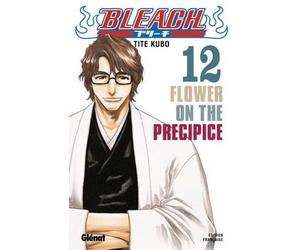 Glénat bleach tome 12 - flower on the precipice