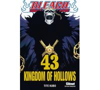 Glénat bleach tome 43 - kingdom of hollows
