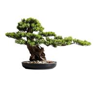 GLETSF Plantes Artificielles D'Intérieur Accueillantes, Pin, Simulation, Bonsaï, Entrée, Salon, Plante Verte, Grand Arbre Artificiel, Hôtel, Podocarpus, Décoration, Ornements, P-B