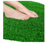 GLFNB Rouleaux de Gazon Artificiel pour pelouse, Tapis de Gazon synthétique réaliste, 3 m, 4 m, 5 m, 6 m, 7 m de Longueur (Taille : 3 x 6 m)