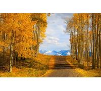 GLHUIOZ 1000 Pièces Maison Rencontre Jeux DIY Divertissement Cadeau Amusement Classiques pour Adultes et Enfants à partir de 12 Ans,États-Unis,Telluride,75x50cm