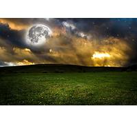 GLHUIOZ 1000 pièces Puzzles pour Adultes Jeu éducatif défi Enfants,Champ,Lune,Pissenlits,75x50cm