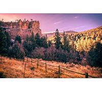 GLHUIOZ 1500 Pièces Maison Rencontre Jeux DIY Divertissement Cadeau Amusement Classiques pour Adultes et Enfants à partir de 12 Ans,USA,87x57cm