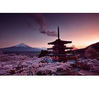 GLHUIOZ 500 Pièces DIY Divertissement Cadeau Amusement Puzzles Classiques pour Adultes et Enfants à partir de 12 Ans,Sakura,Fujiyama,Tour Churei,52x38cm