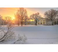 GLHUIOZ 500 Pièces DIY Divertissement Cadeau Amusement Puzzles Classiques pour Adultes et Enfants à partir de 12 Ans,Saint-Pétersbourg,Russie,Pouchkine,Tsarskoïe Selo,Palais Alexandre,52x38cm