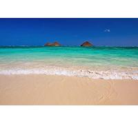 GLHUIOZ 500 Pièces DIY Divertissement Cadeau Amusement Puzzles Classiques pour Adultes et Enfants à partir de 12 Ans Plage,Hawaï,États-Unis,Océan Pacifique,Îles hawaïennes,52x38cm