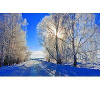 GLHUIOZ 500 Pièces Maison Rencontre Jeux DIY Divertissement Cadeau Amusement Classiques pour Adultes et Enfants à partir de 12 Ans,Paysages,52x38cm