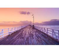 GLHUIOZ 500 Pièces,Panorama,Qualité Premium,pour Adultes et Enfants à partir de 12 Ans,Australie,Queensland,Brisbane,52x38cm