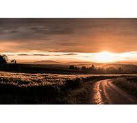 GLHUIOZ 500 Pièces,Panorama,Qualité Premium,pour Adultes et Enfants à partir de 12 Ans,Champ,52x38cm