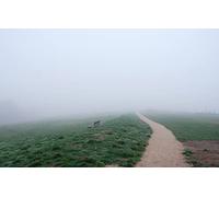 GLHUIOZ 500 Pièces,Panorama,Qualité Premium,pour Adultes et Enfants à partir de 12 Ans,Champ,Banc,52x38cm