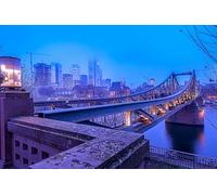 GLHUIOZ 500 Pièces, Panorama, Qualité Premium, pour Adultes et Enfants à partir de 12 Ans Puzzle, Francfort Allemagne Rivières Ponts 52x38cm