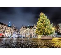 GLHUIOZ 500 Pièces, Panorama, Qualité Premium, pour Adultes et Enfants à partir de 12 Ans Puzzle, Noël Pays-Bas Ville de La Haye 52x38cm