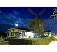 GLHUIOZ Puzzle 1000 pièces - Adultes et Enfants dès 14 Ans - Puzzle de qualité supérieure - Espagne Moulin de Campagne d'Algorta 75x50cm